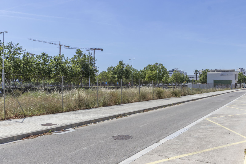 Fincas y solares-Venta-Sagunto-2284081-Foto-4