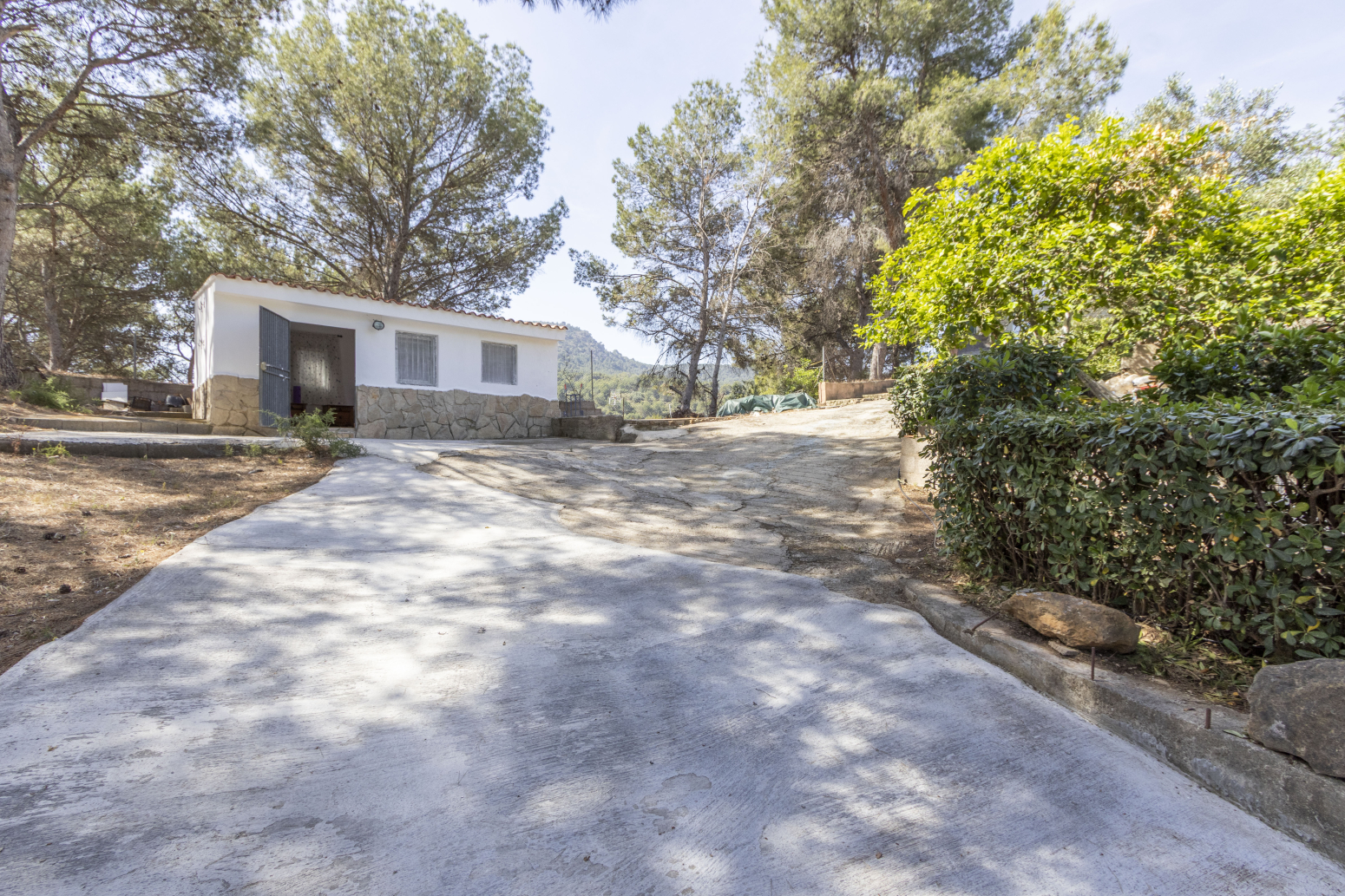 Casas o chalets-Venta-Albalat dels Tarongers-2284096-Foto-2