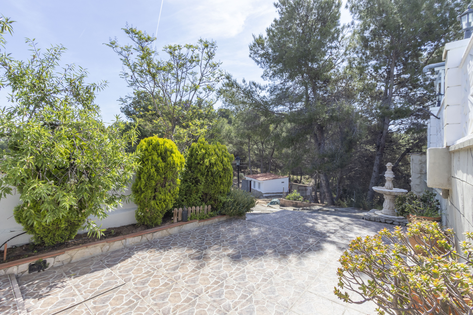 Casas o chalets-Venta-Albalat dels Tarongers-2284096-Foto-33