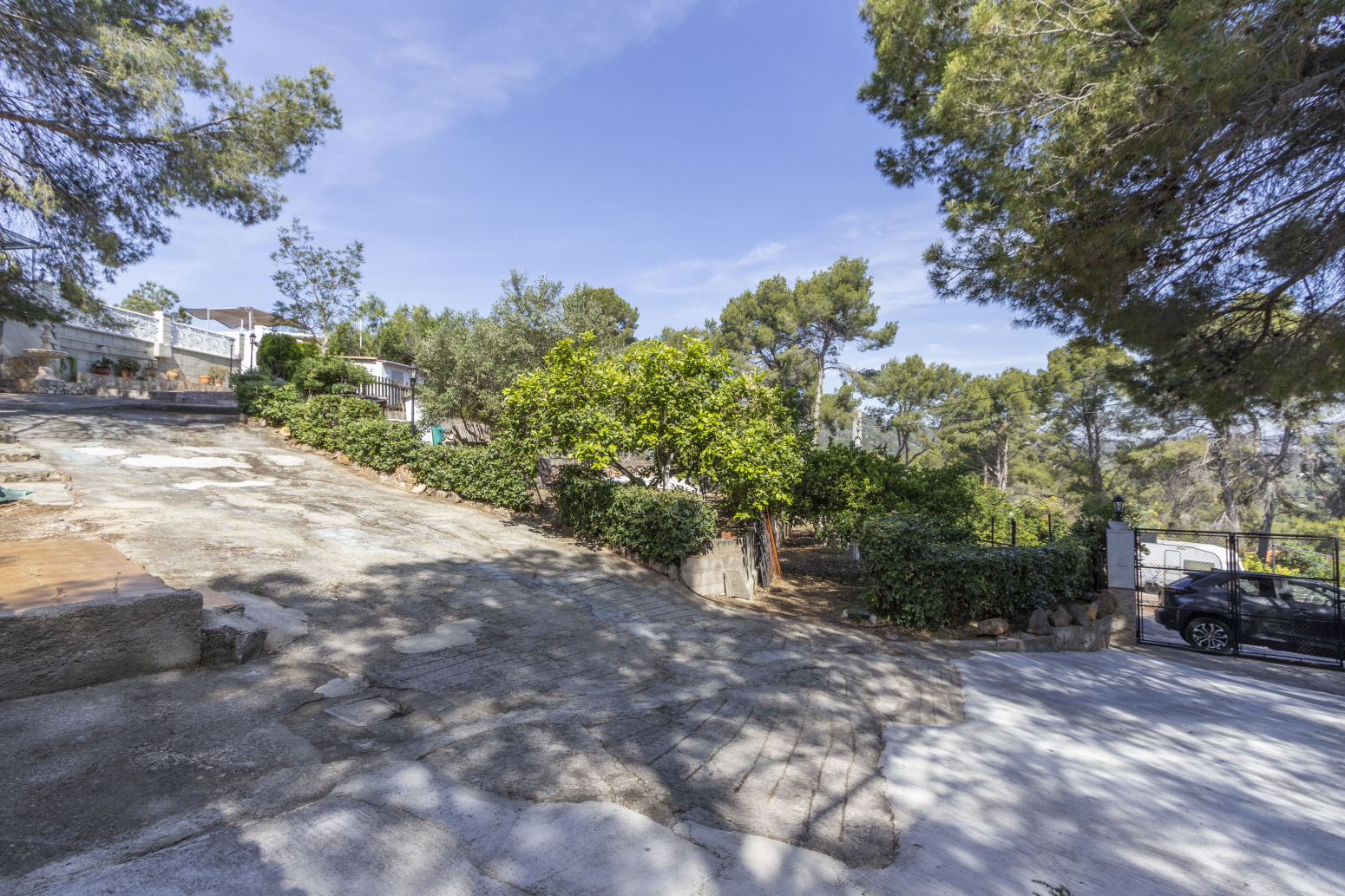 Casas o chalets-Venta-Albalat dels Tarongers-2284096-Foto-3