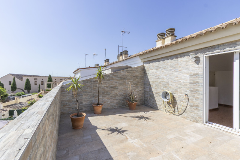 Casas o chalets-Alquiler-Vinalesa-2333701-Foto-32