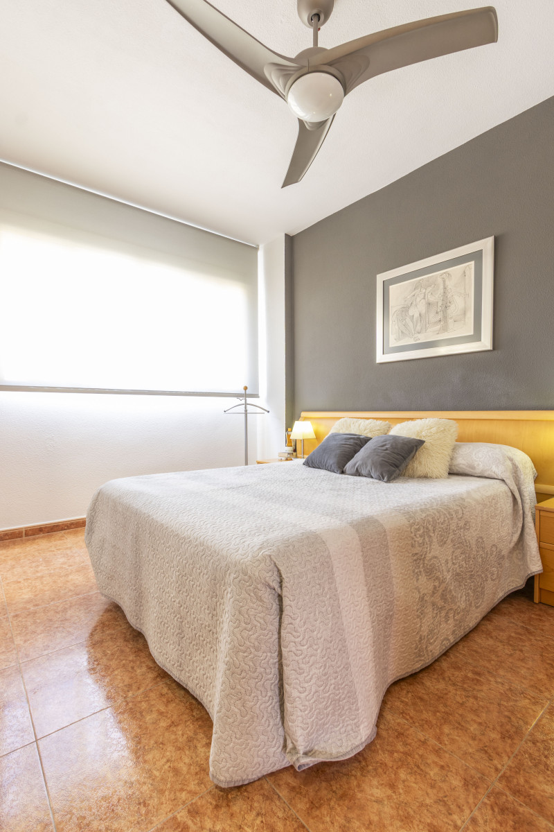 Casas o chalets-Alquiler-Vinalesa-2333701-Foto-33