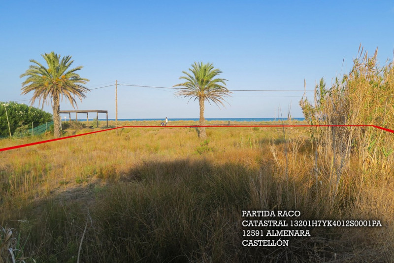 Fincas y solares-Venta-Almenara-837575-Foto-6