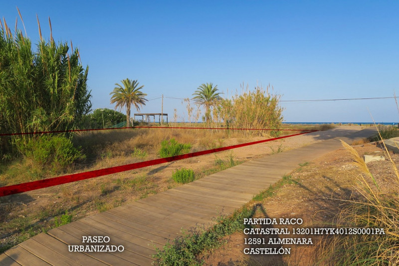 Fincas y solares-Venta-Almenara-837575-Foto-5