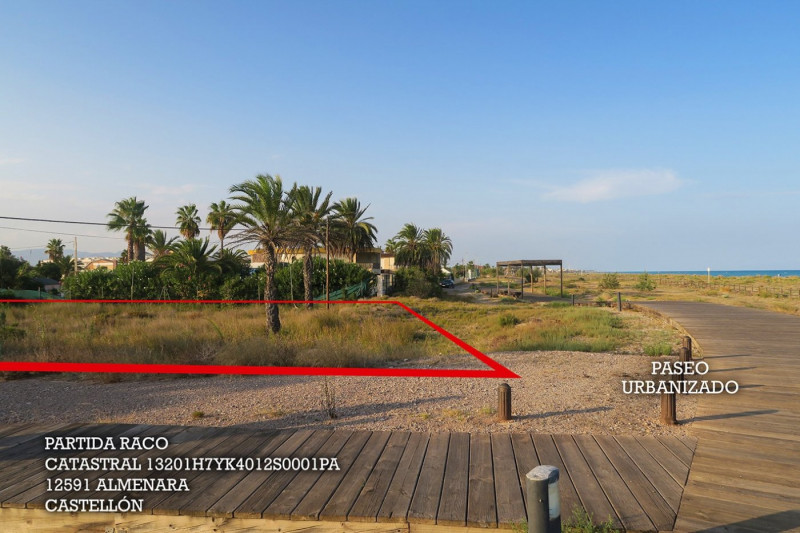 Fincas y solares-Venta-Almenara-837575-Foto-3