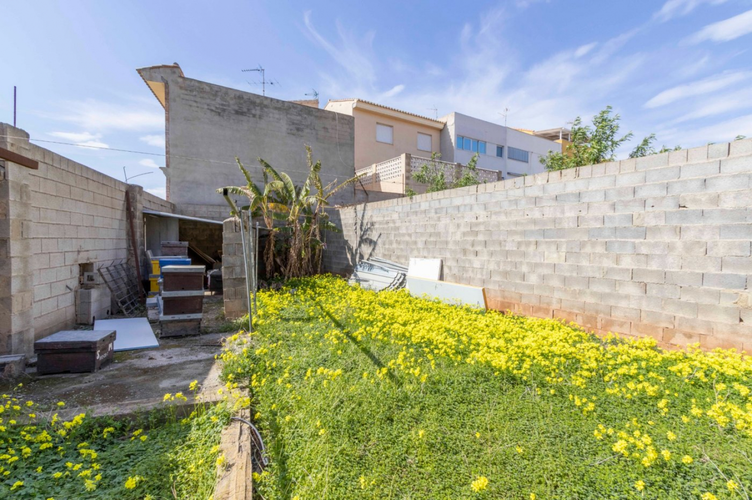 Fincas y solares-Venta-Massamagrell-837636-Foto-8