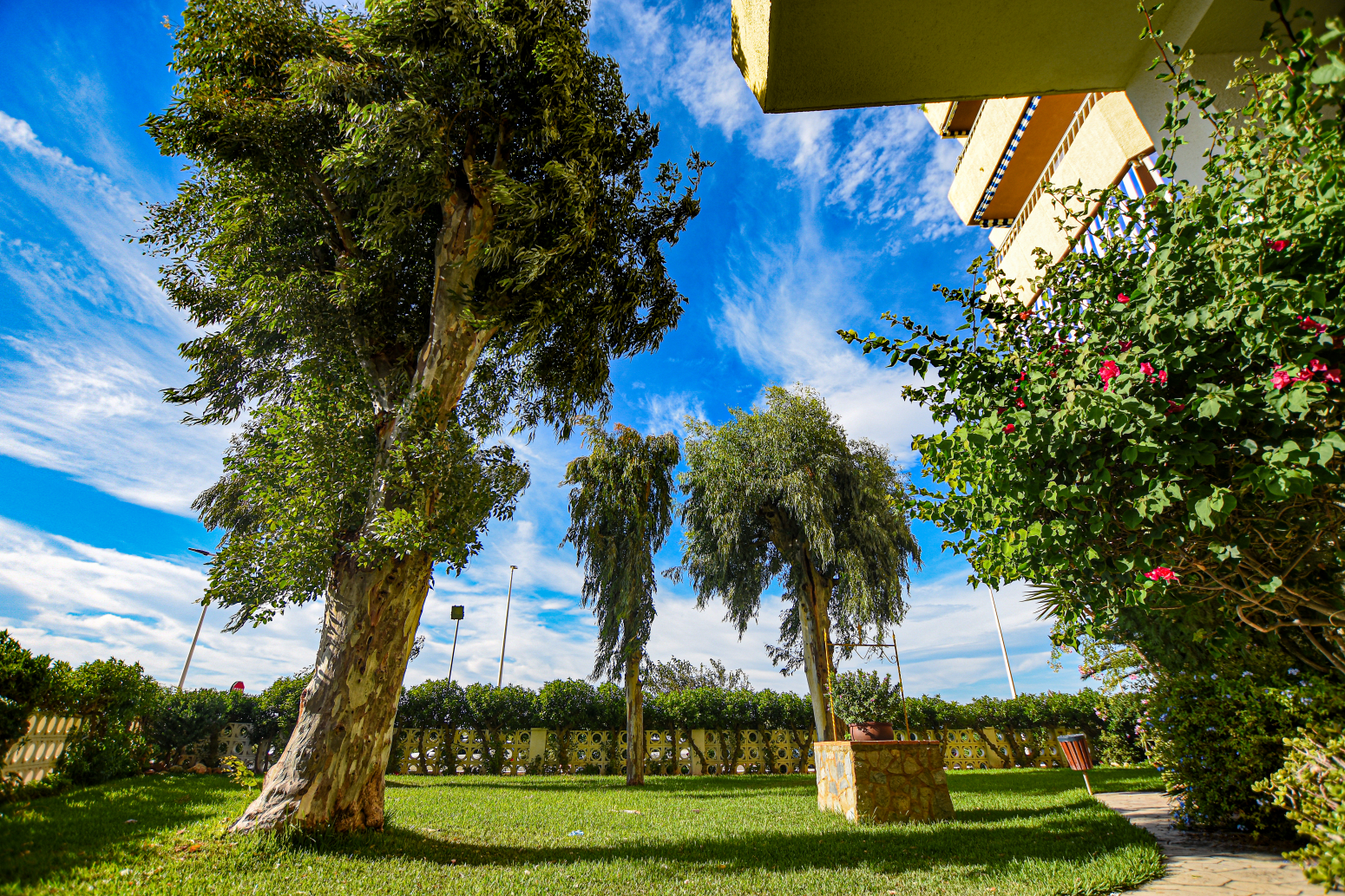 Pisos-Venta-La Pobla de Farnals-979349-Foto-34