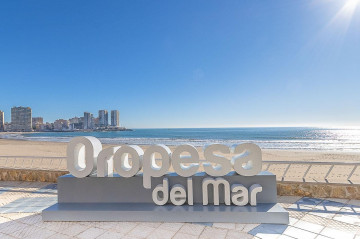 Locales-Venta-Oropesa del Mar-833713-Foto-19-Carrousel