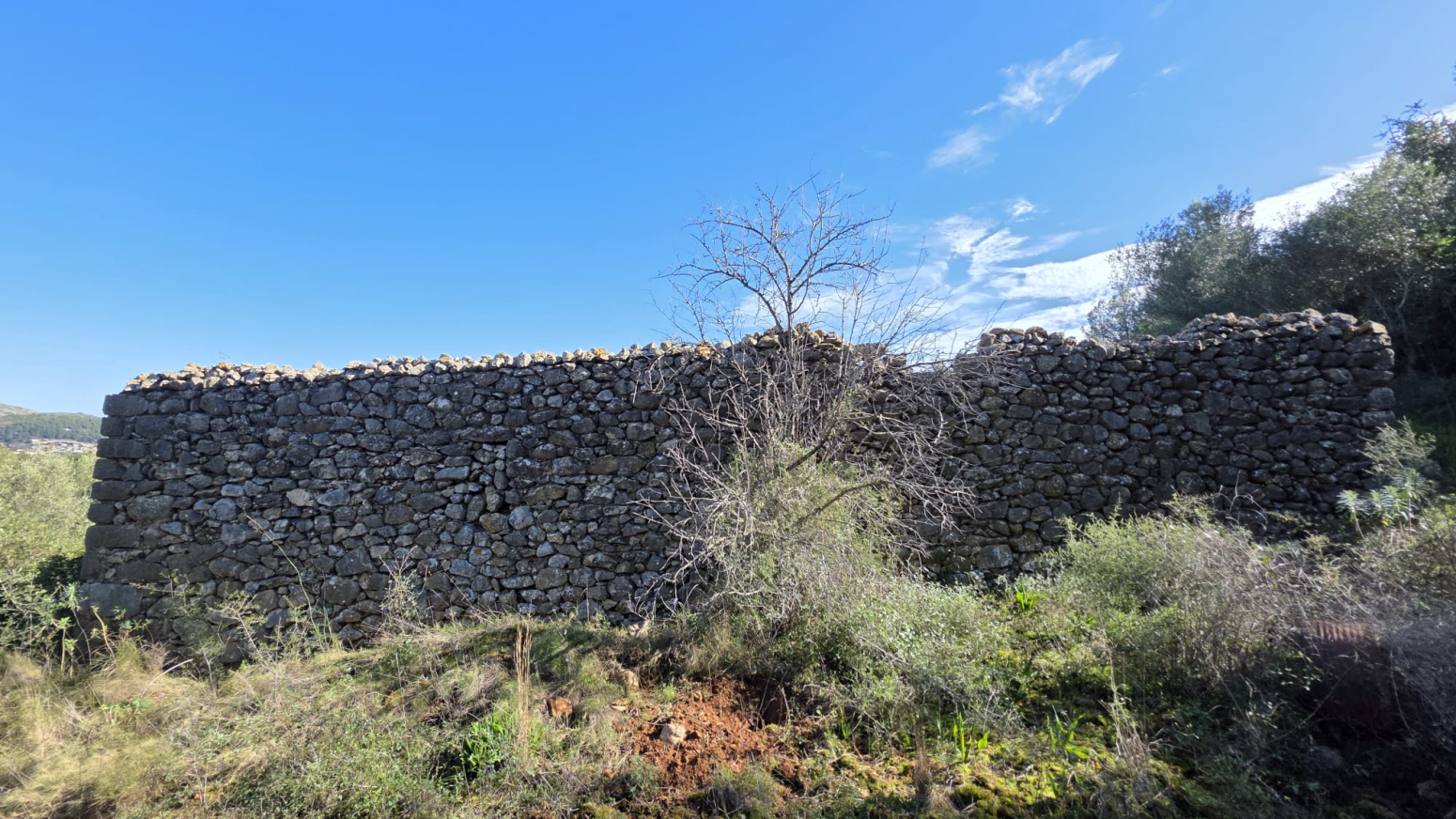 Fincas y solares-Venta-JalÃ³n-1227229-Foto-7