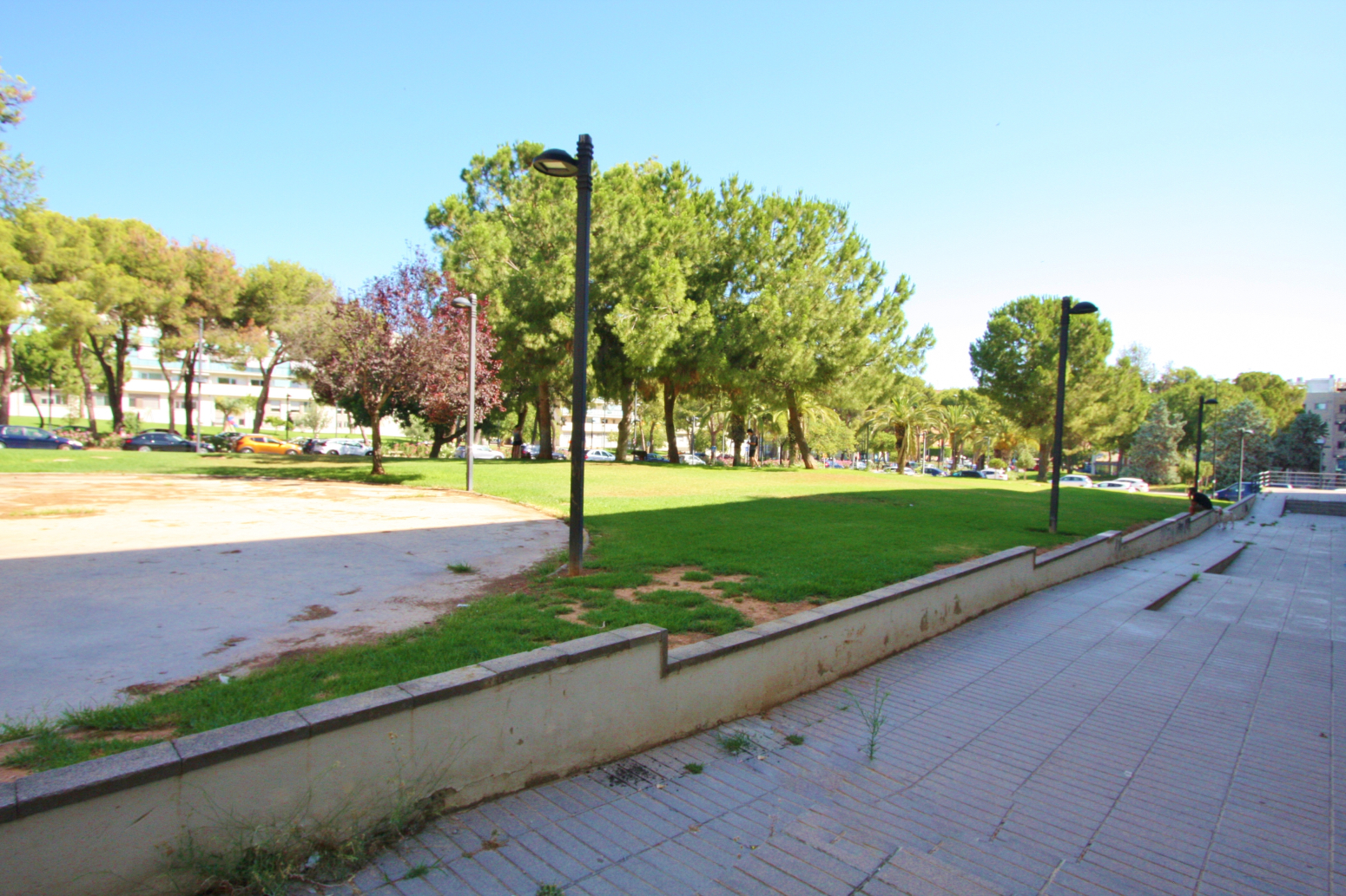 Locales-Venta-Torrent-1299810-Foto-14