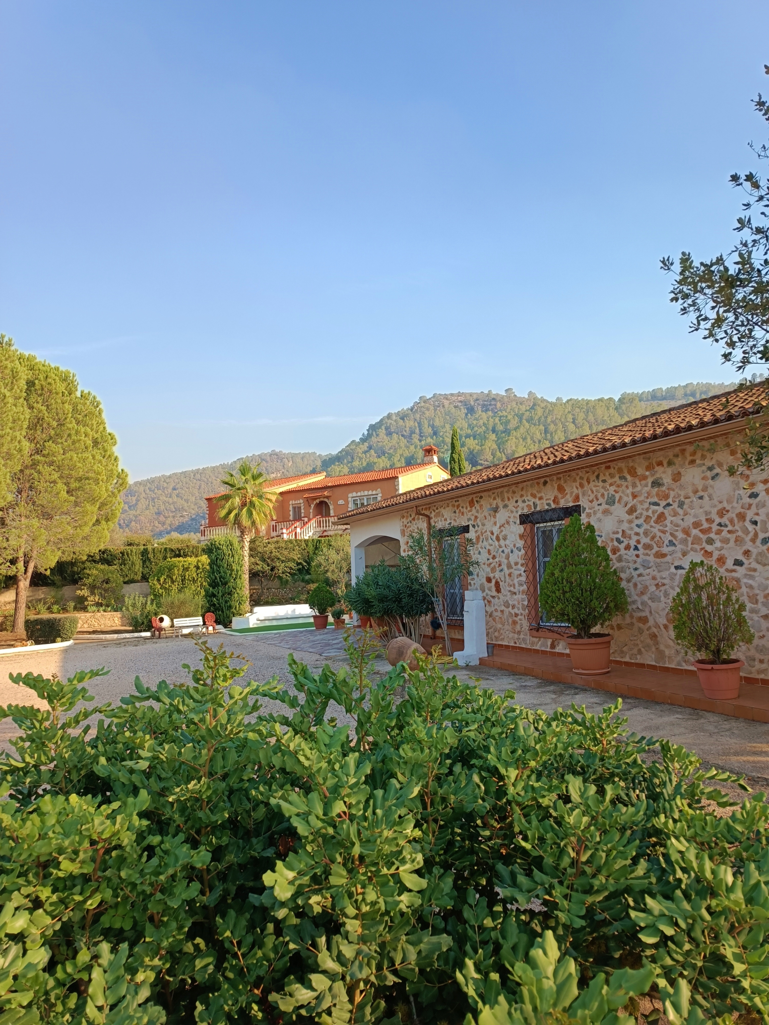 Casas o chalets-Alquiler-Quesa-1440615-Foto-1