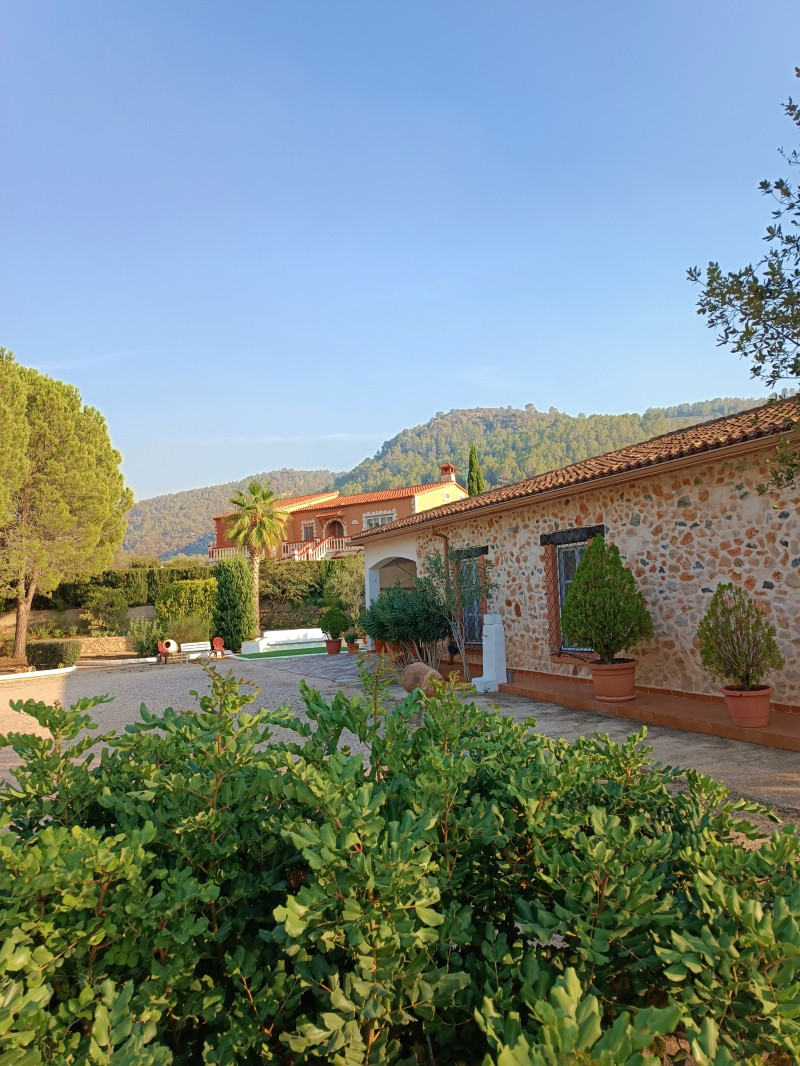 Casas o chalets-Alquiler-Quesa-1440615