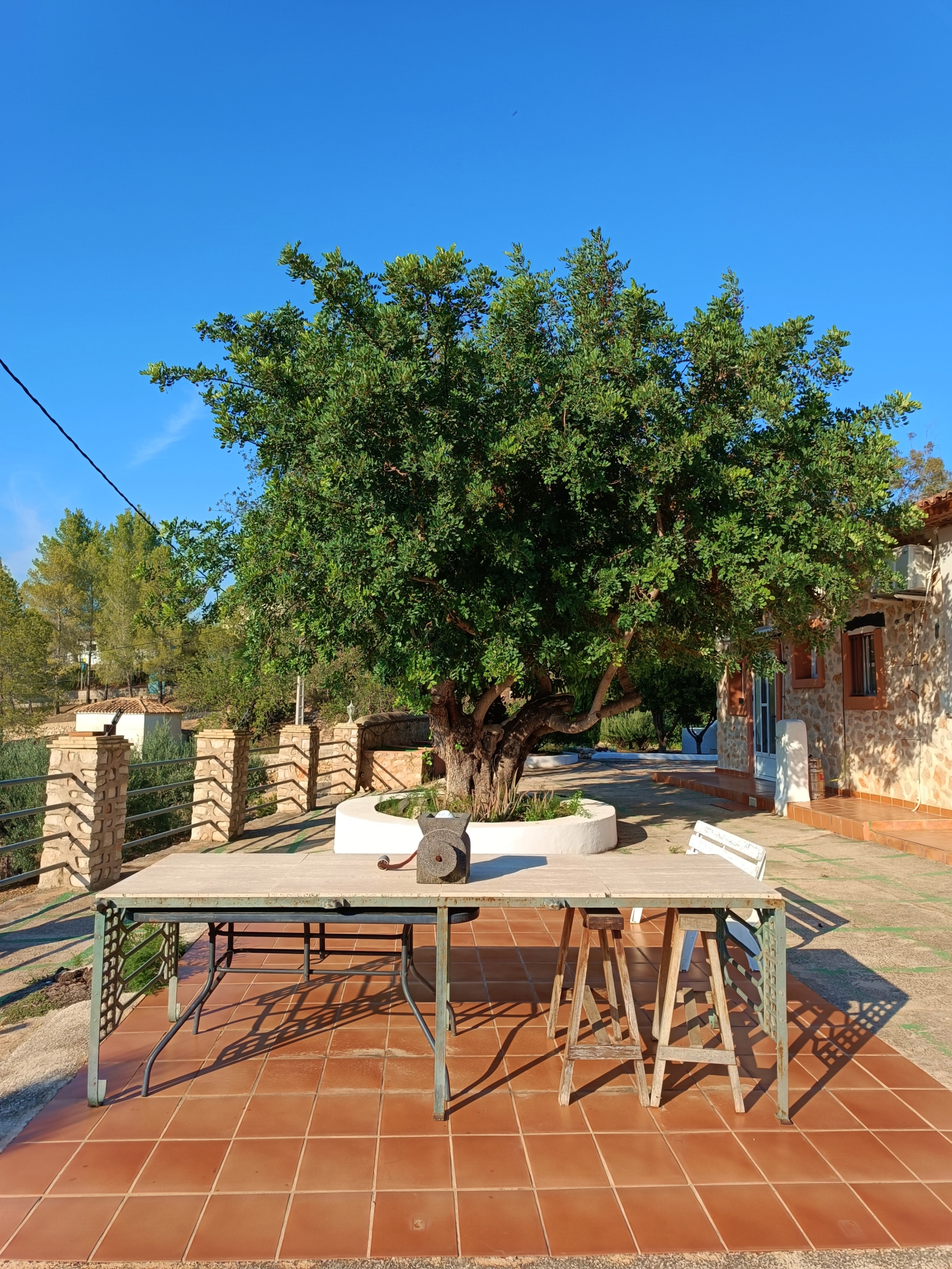 Casas o chalets-Alquiler-Quesa-1440615-Foto-33