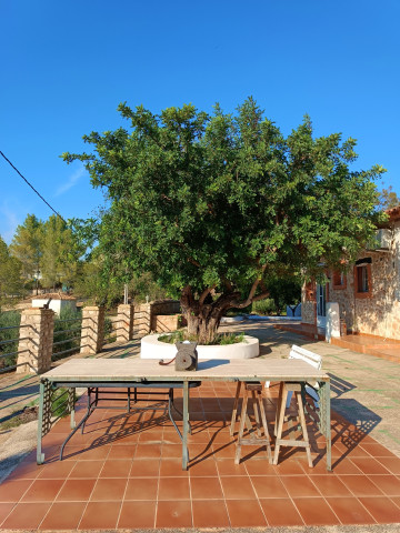 Casas o chalets-Alquiler-Quesa-1440615-Foto-32-Carrousel