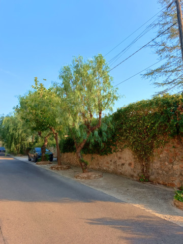 Casas o chalets-Alquiler-Quesa-1440615-Foto-62-Carrousel