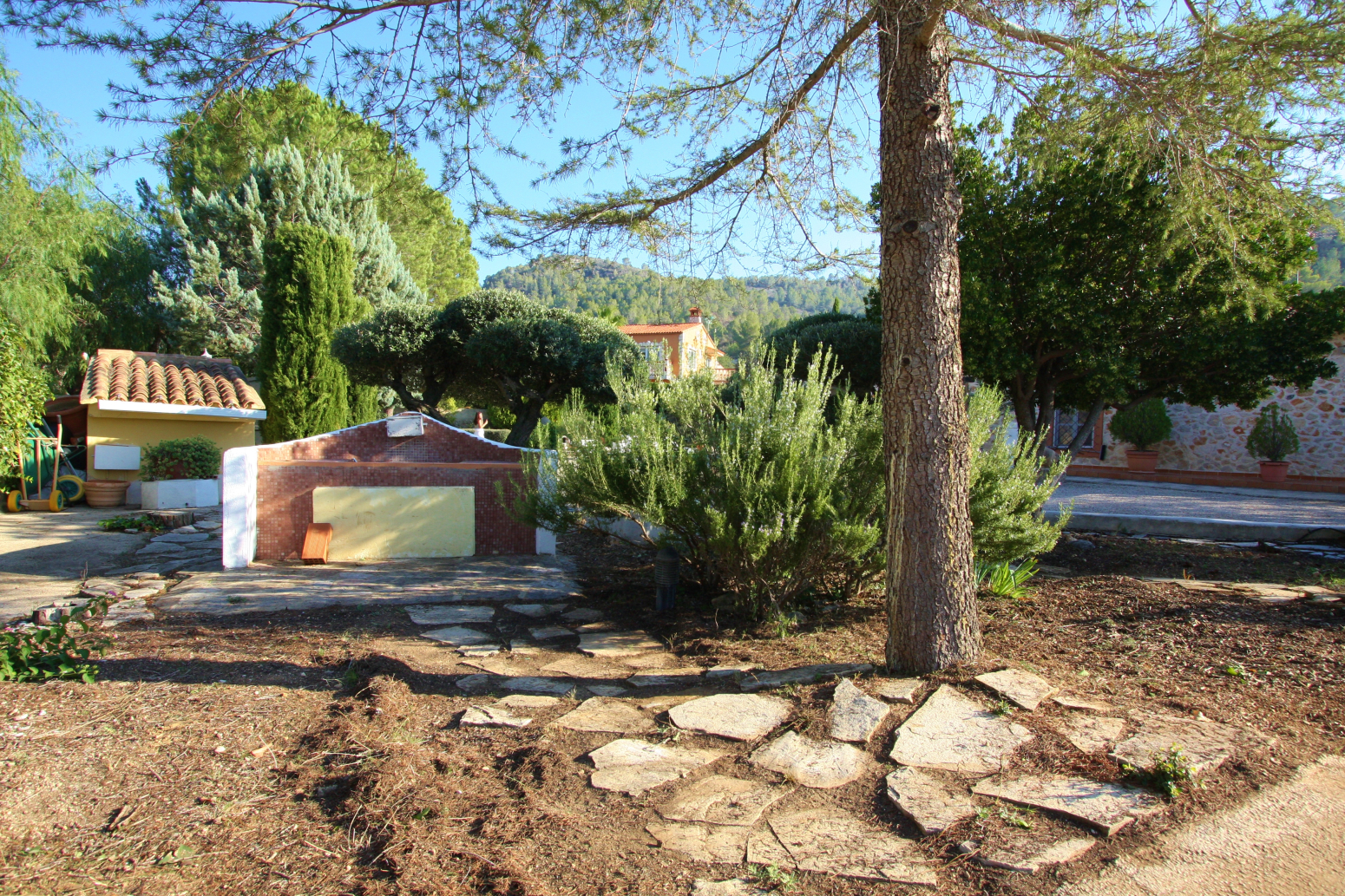 Casas o chalets-Alquiler-Quesa-1440615-Foto-41