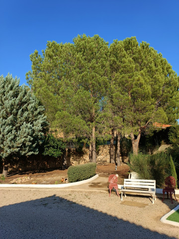 Casas o chalets-Alquiler-Quesa-1440615-Foto-49-Carrousel