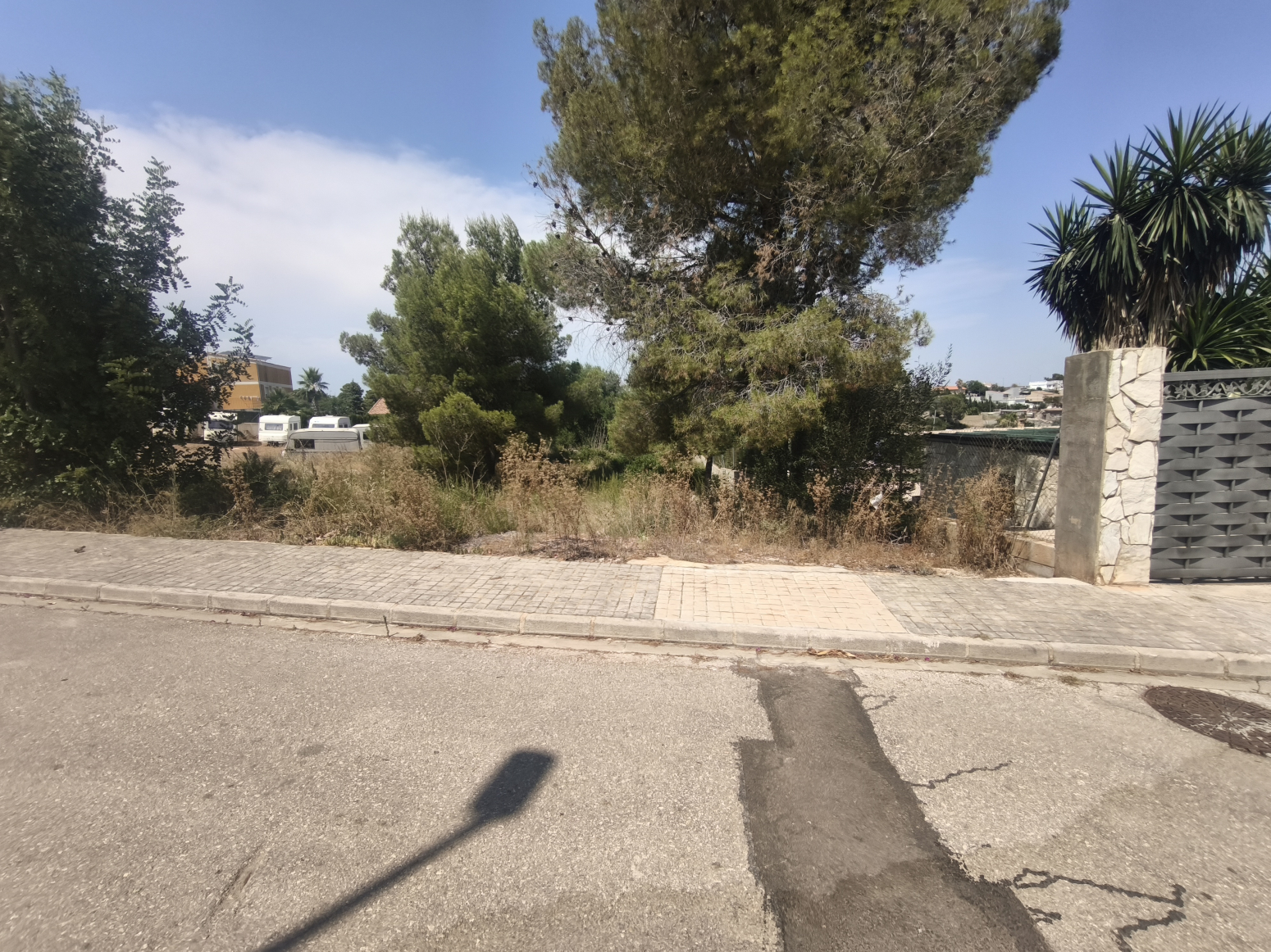 Fincas y solares-Venta-Montroy-2356310-Foto-4