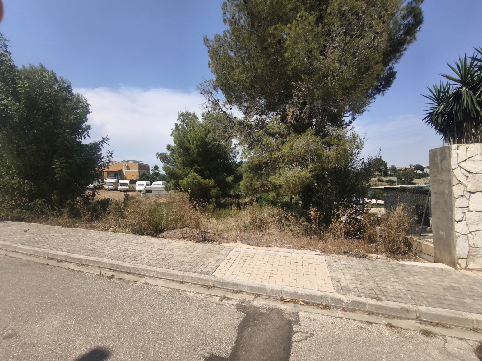 Fincas y solares-Venta-Montroy-2356310-Foto-7