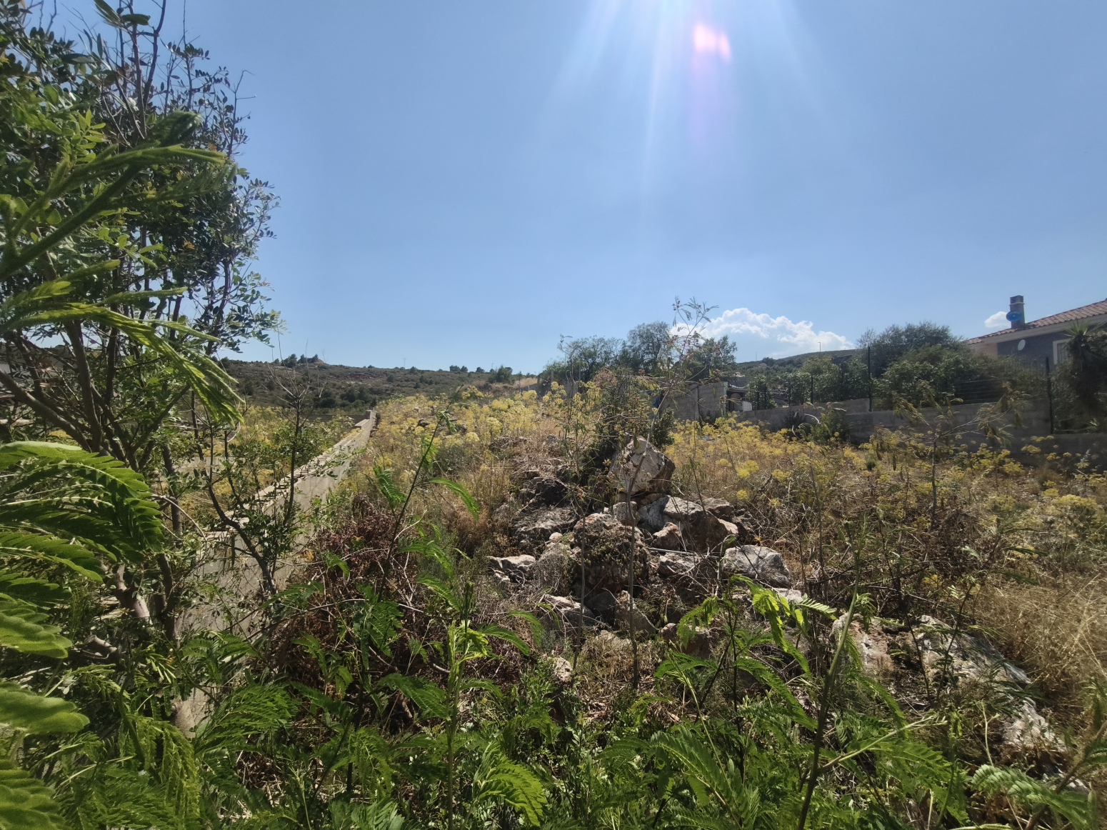 Fincas y solares-Venta-Montroy-2356311-Foto-3