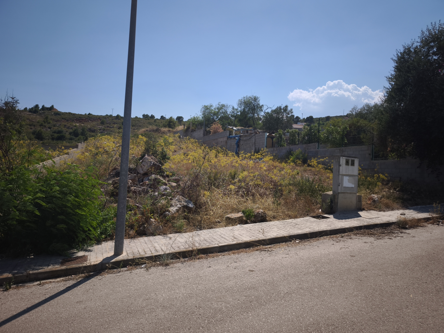 Fincas y solares-Venta-Montroy-2356311-Foto-7