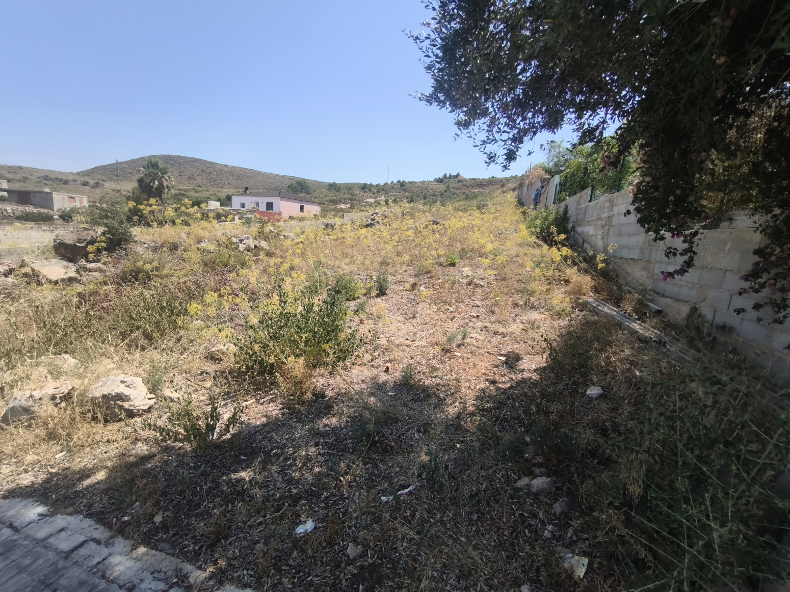 Fincas y solares-Venta-Montroy-2356311-Foto-2