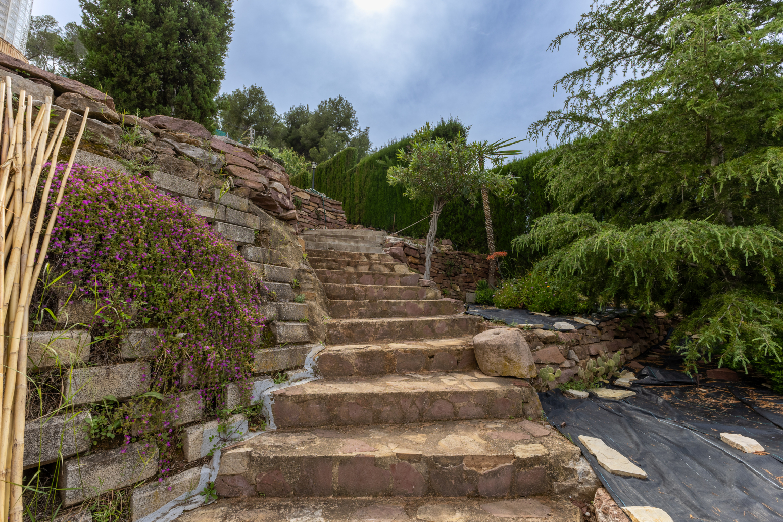 Casas o chalets-Venta-Torres Torres-1730758-Foto-81