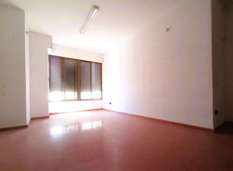 Negocios-Venta-CastellÃ³n-CastellÃ³n de la Plana-1089483-Foto-6