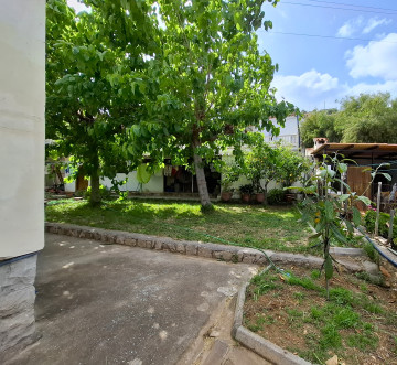 Jardín