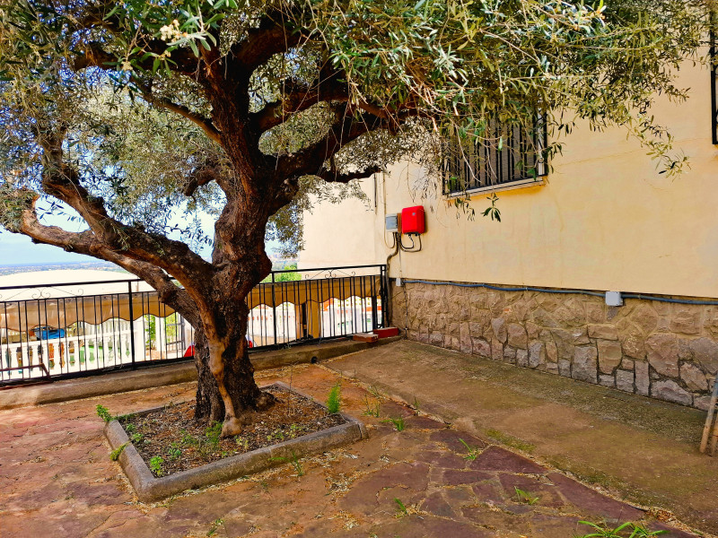 Casas o chalets-Venta-CastellÃ³n-CastellÃ³n de la Plana-1721104-Foto-31
