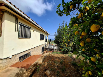 Jardín