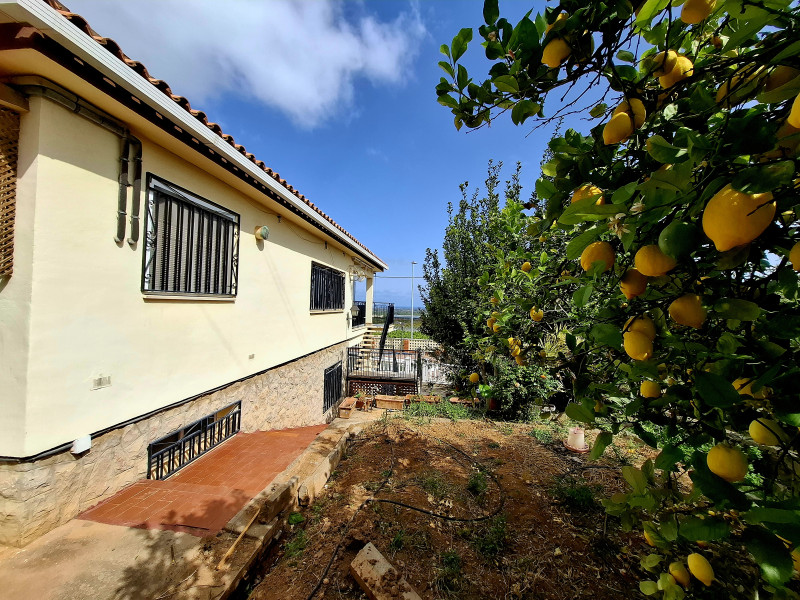 Casas o chalets-Venta-CastellÃ³n-CastellÃ³n de la Plana-1721104-Foto-29