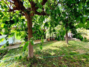 Jardín