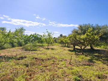 Jardín