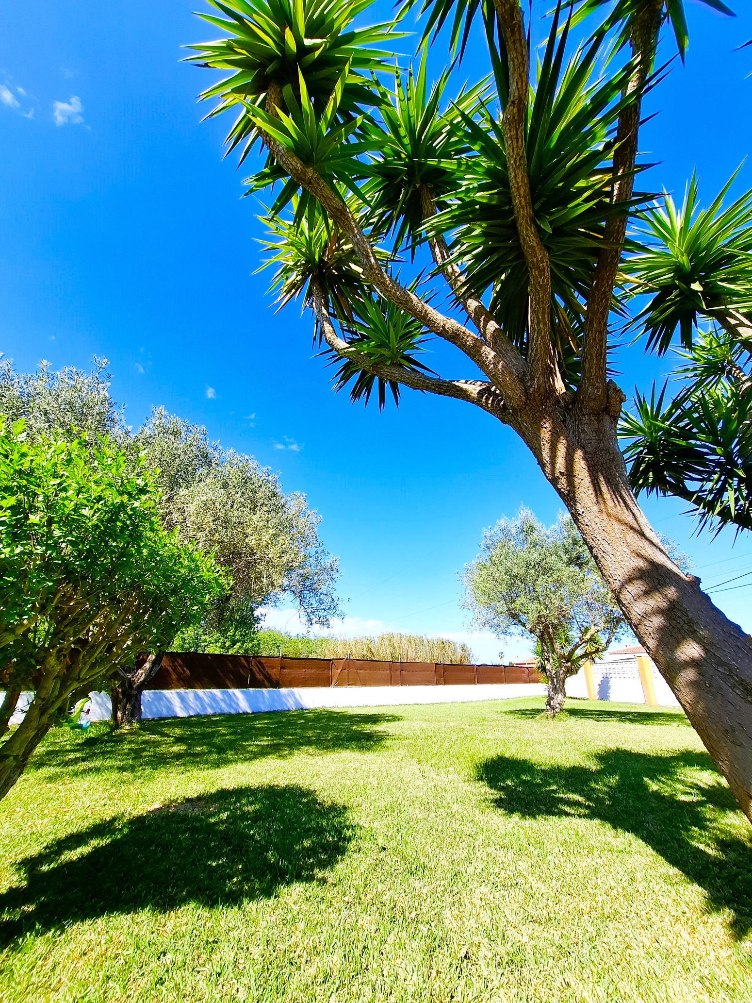 Casas o chalets-Venta-CastellÃ³n-CastellÃ³n de la Plana-1722185-Foto-2