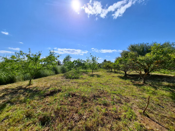 Jardín