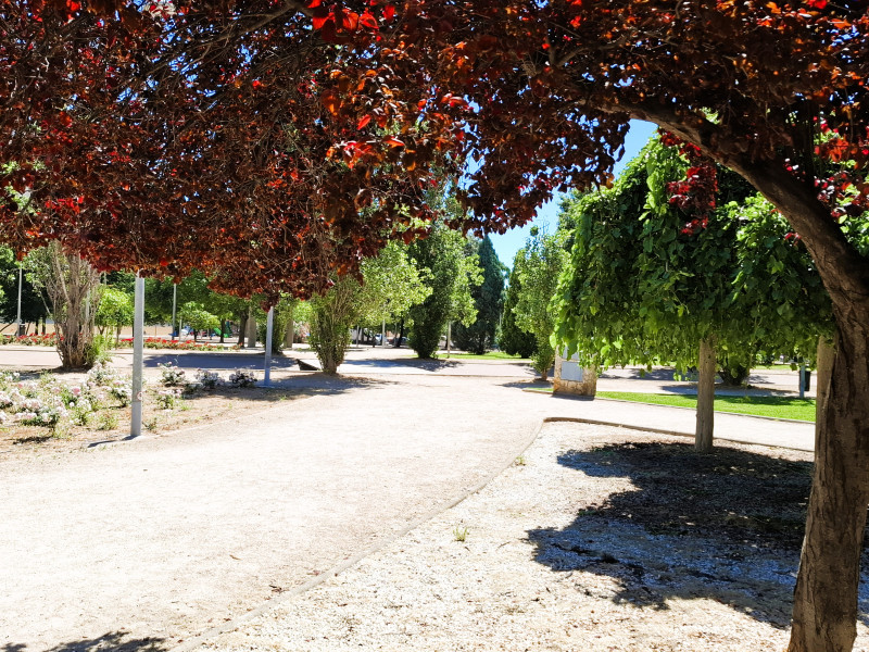 Pisos-Venta-CastellÃ³n-CastellÃ³n de la Plana-2314743-Foto-20