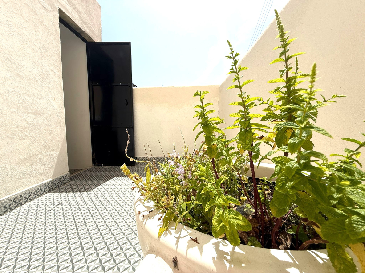 Casas o chalets-Venta-Burriana-2335352-Foto-16