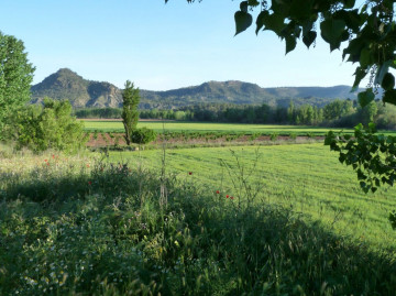 Fincas y solares-Venta-Balsa de Ves-2150709-Foto-1-Carrousel