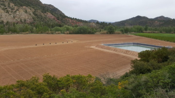 Fincas y solares-Venta-Balsa de Ves-2150709-Foto-9-Carrousel
