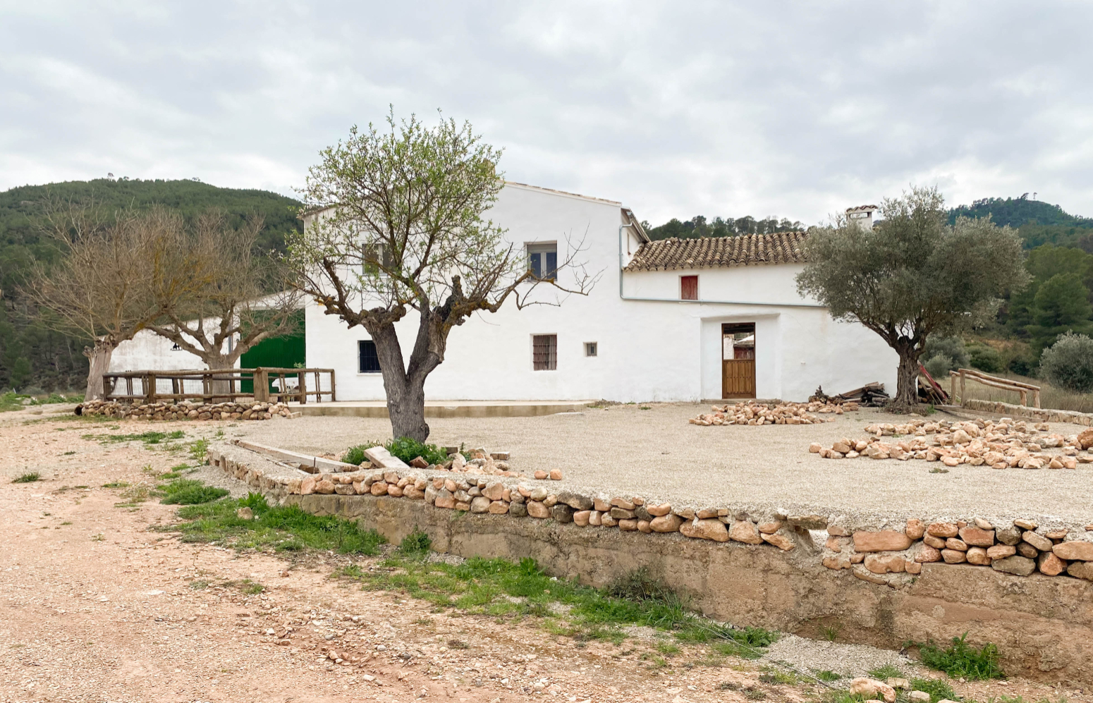Fincas y solares-Venta-Balsa de Ves-2150709-Foto-45