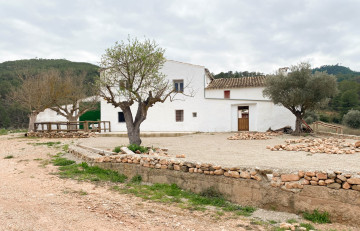 Fincas y solares-Venta-Balsa de Ves-2150709-Foto-44-Carrousel
