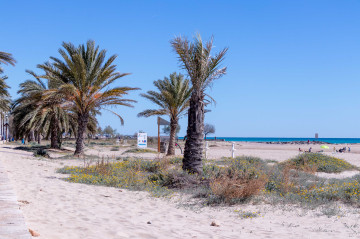 Playa