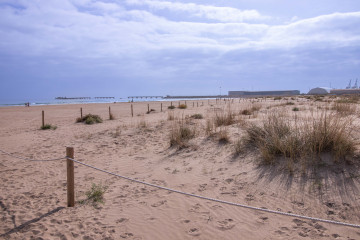 Playa