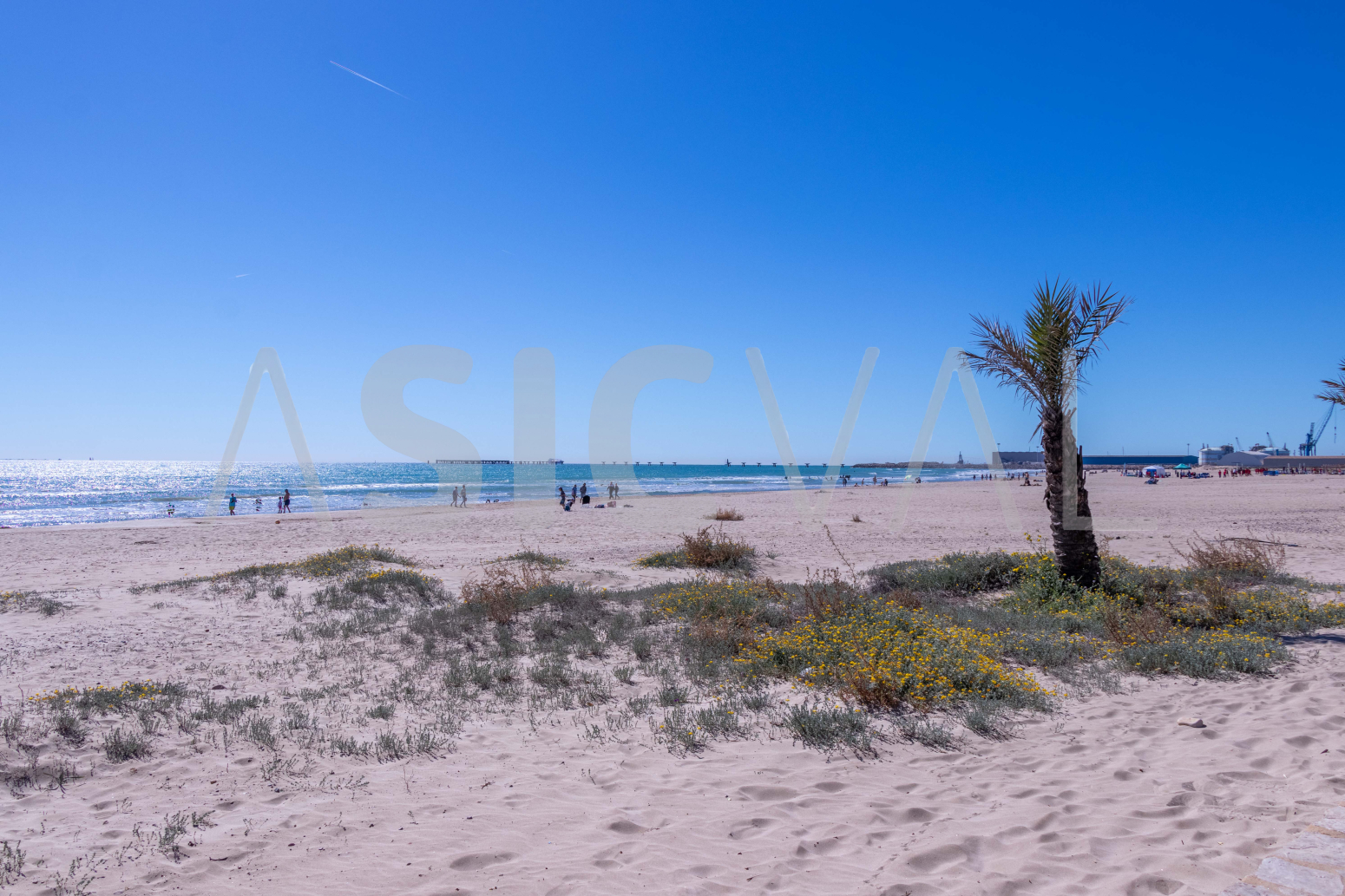 Pisos-Alquiler-Sagunto-1840774-Foto-56