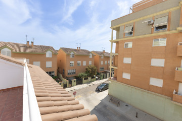 Foto 52
