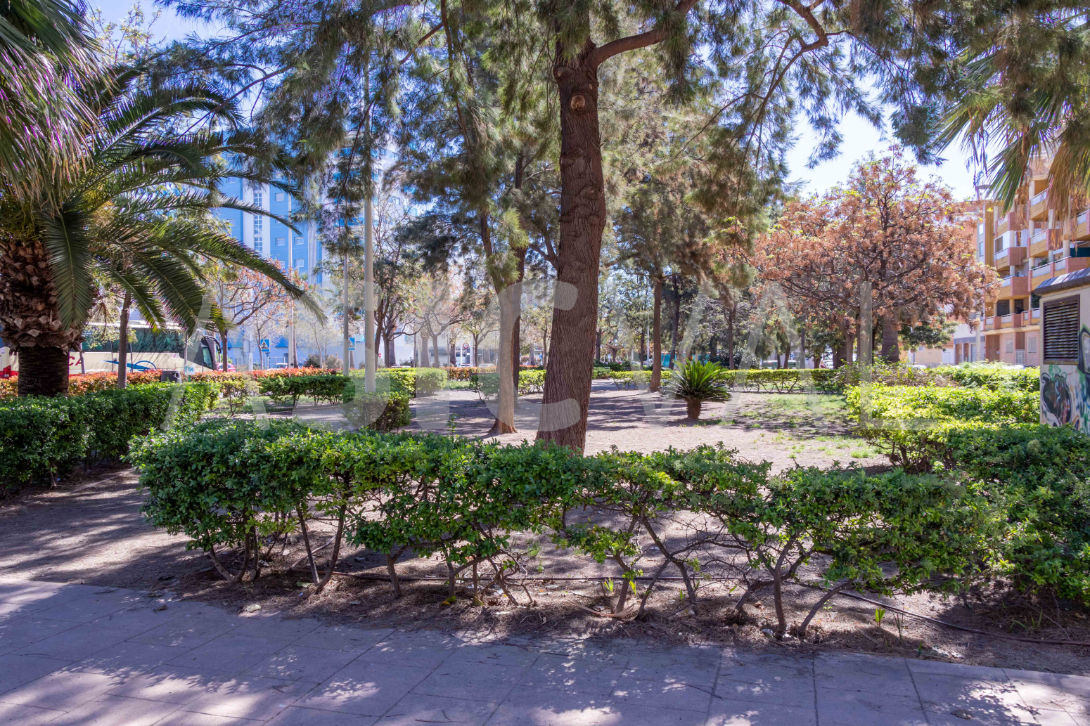 Pisos-Alquiler-Sagunto-2334223-Foto-36