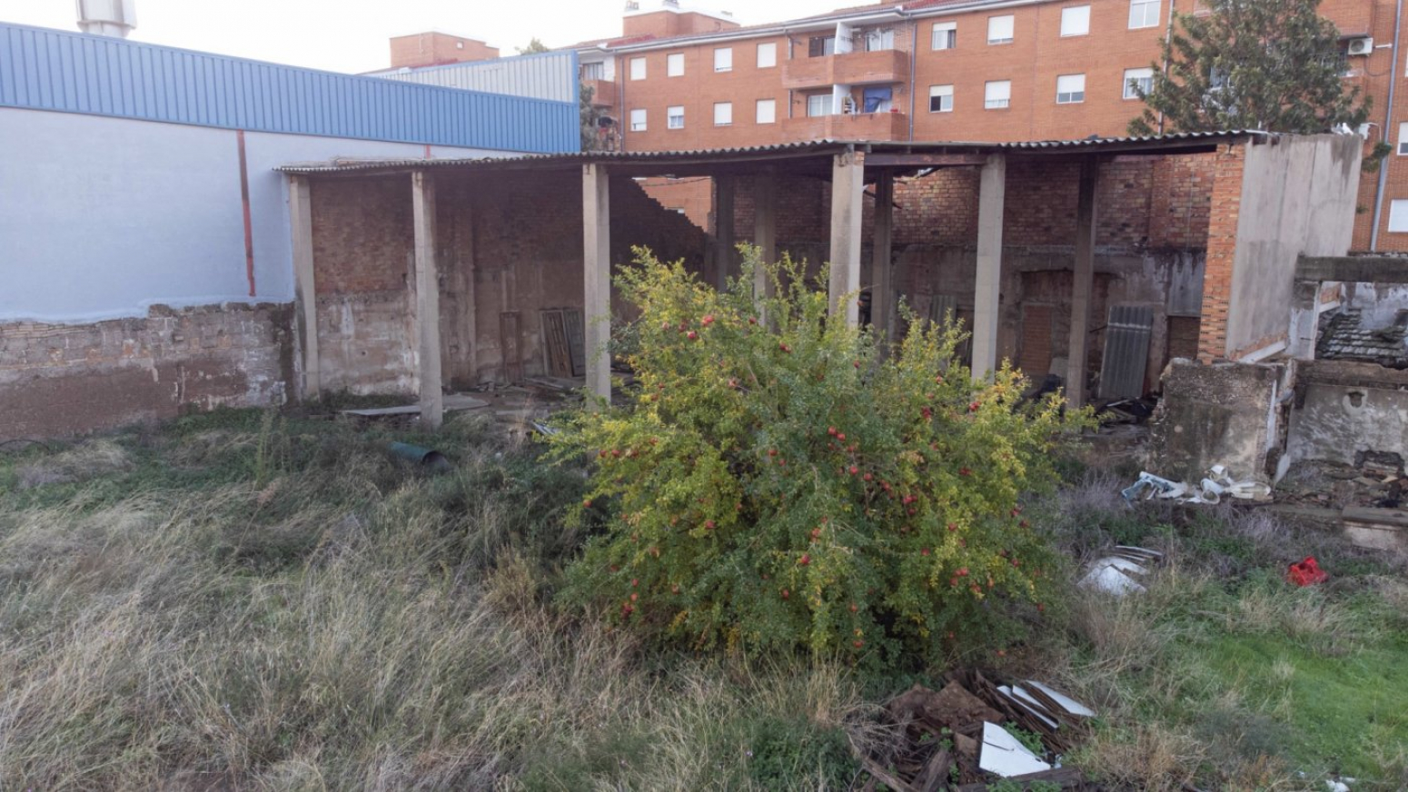 Fincas y solares-Venta-Sagunto-917577-Foto-17