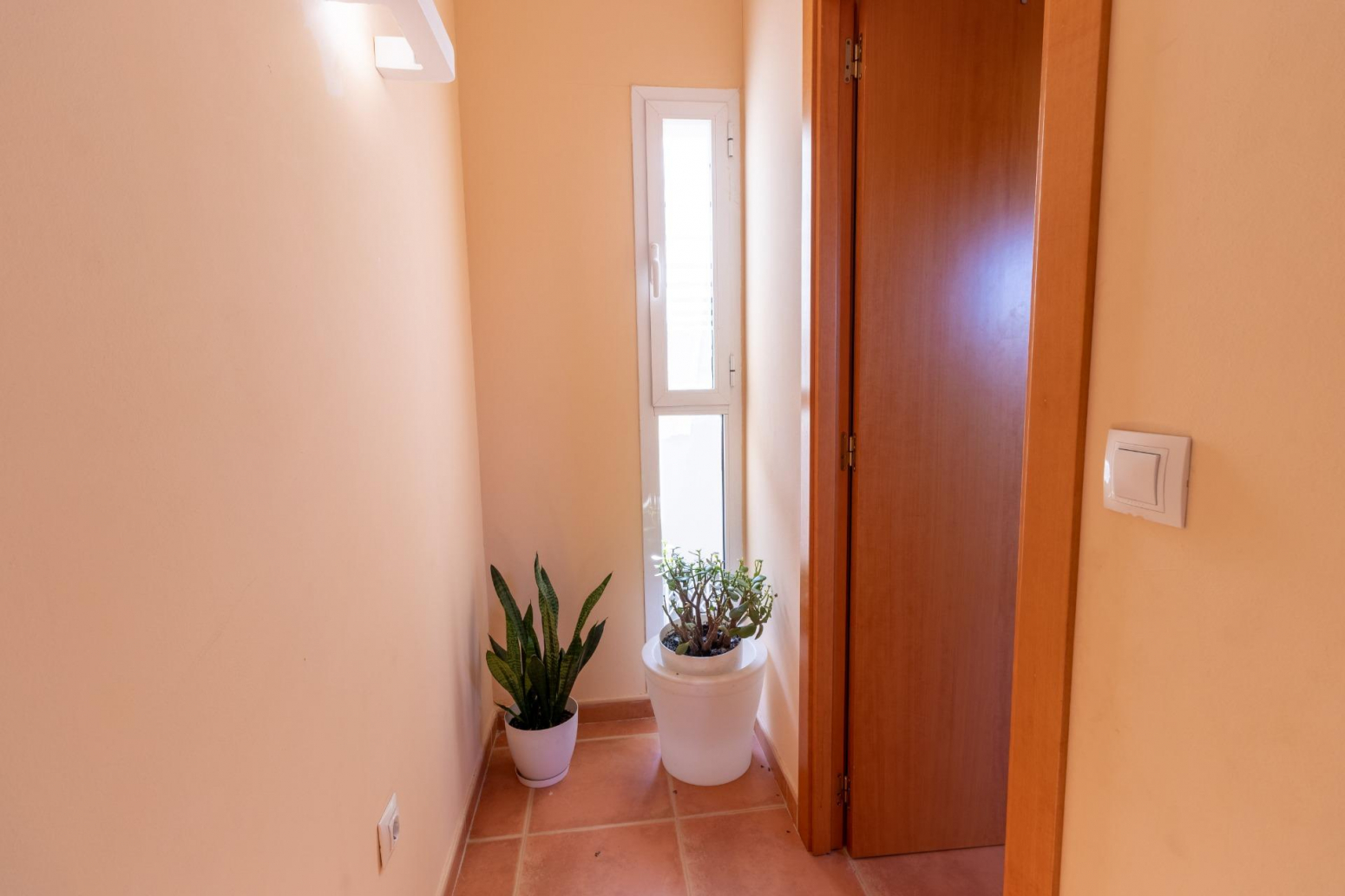 Casas o chalets-Venta-Sagunto-978269-Foto-35