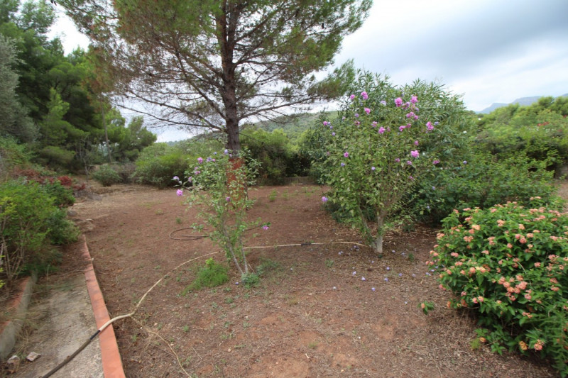 Casas o chalets-Venta-Sagunto-906216-Foto-37